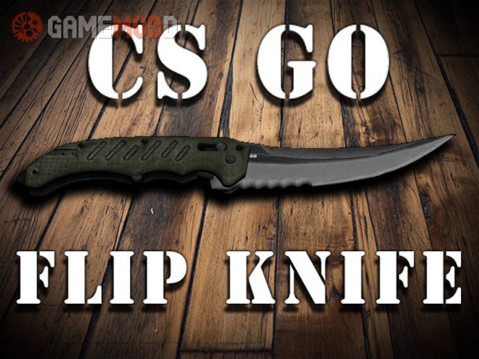 CS GO FLIP KNIFE