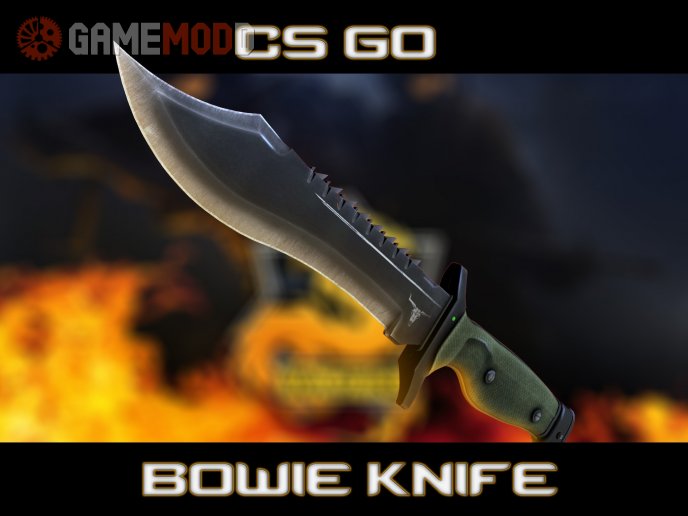 CS GO Bowie Knife